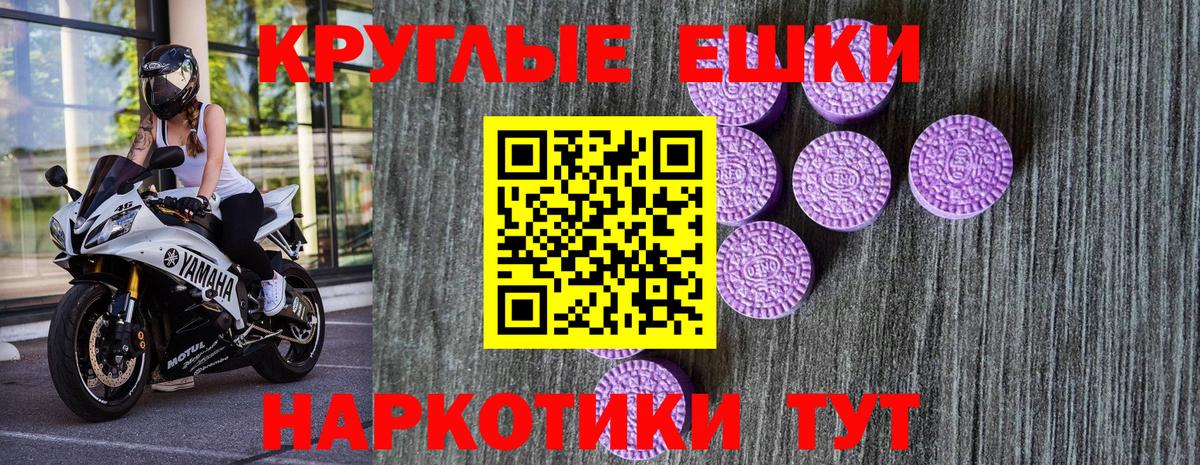 ЭКСТАЗИ Philipp Plein  Вход с VPN  Ухта 
