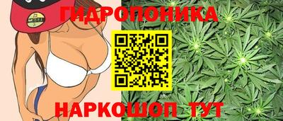молекула духа Мариинск