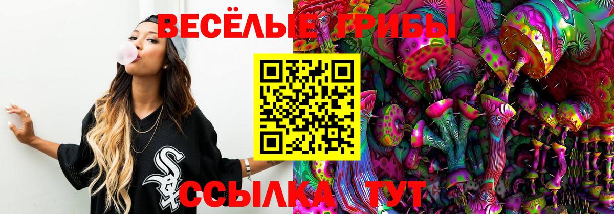 Псилоцибиновые грибы Psilocybine cubensis  Вход с VPN  Ухта 